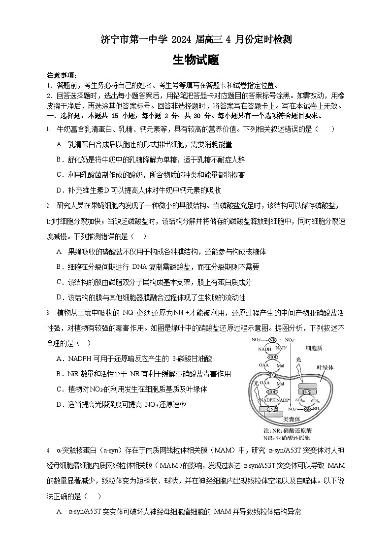 2024济宁一中高三下学期4月定时检测试题生物含答案01