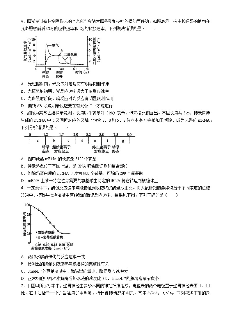 2024重庆市巴蜀中学高三下学期4月适应性月考卷（八）生物含解析第2页