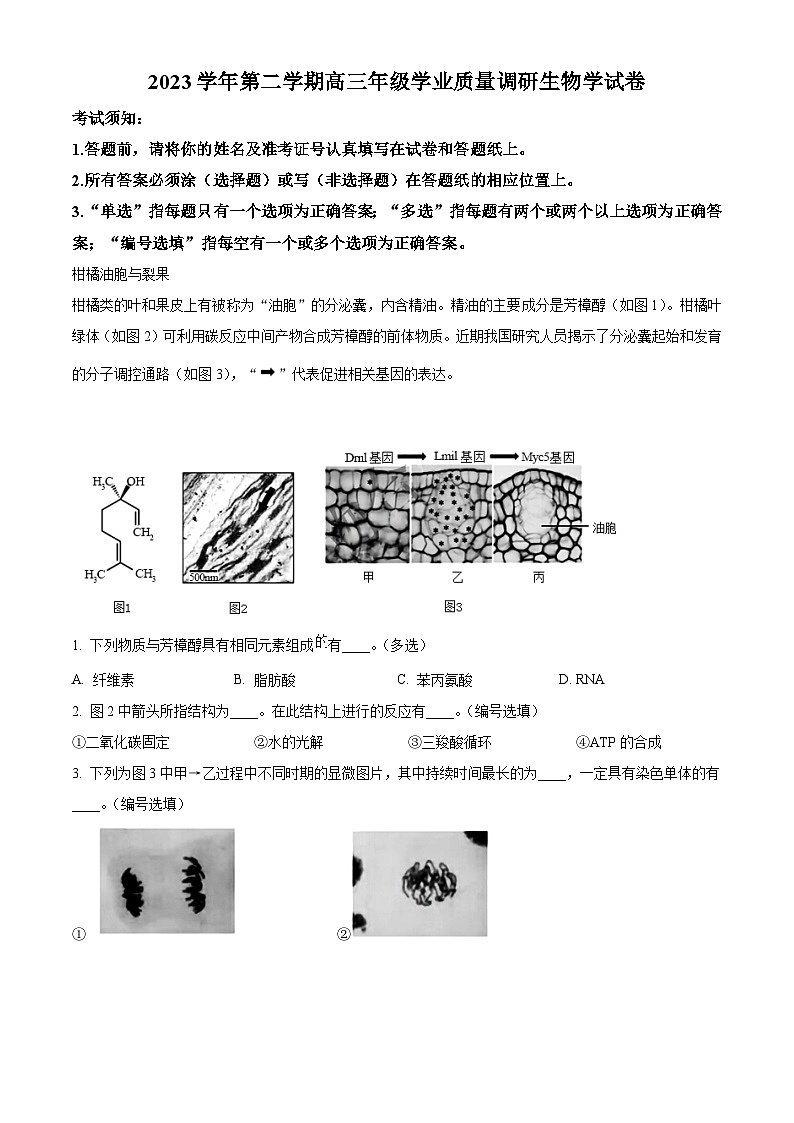 2024上海青浦区高三下学期二模试题生物含解析01
