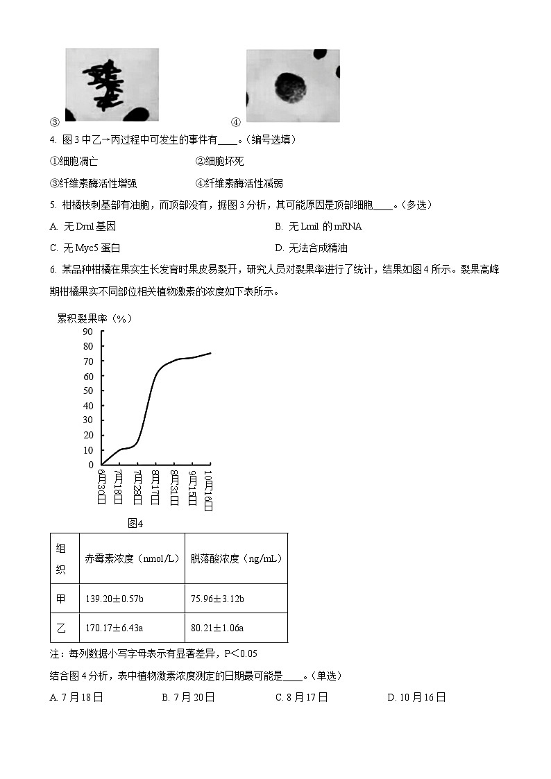 2024上海青浦区高三下学期二模试题生物含解析02