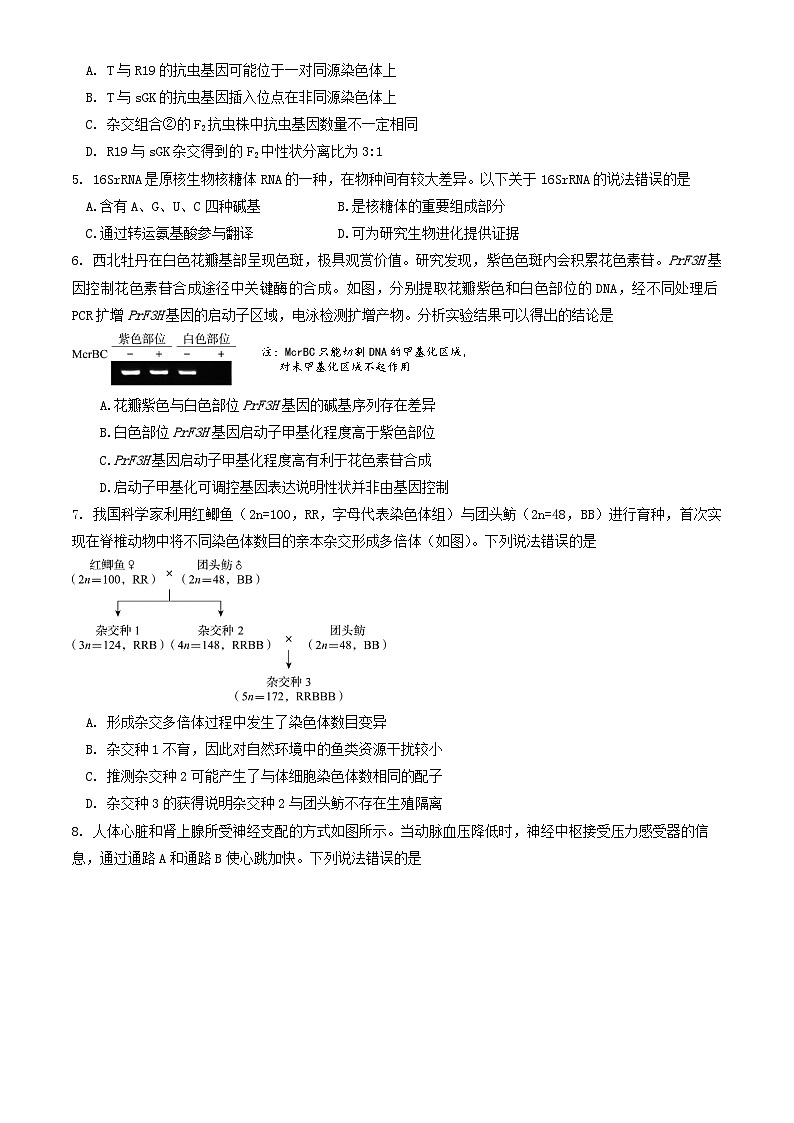 2024北京东城区高三下学期4月一模试题生物含答案02