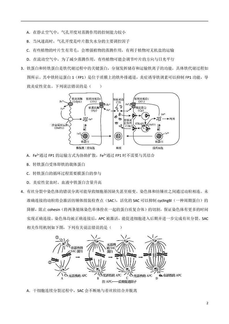 2024年高考第二次模拟考试：生物（浙江卷）（考试版）第2页