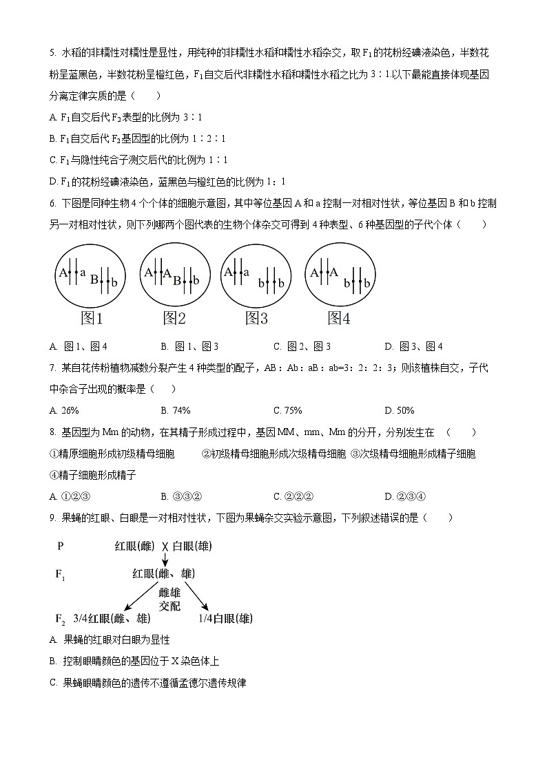 河南省郑州市中牟县2023-2024学年高一下学期4月期中生物试题（原卷版+解析版）02