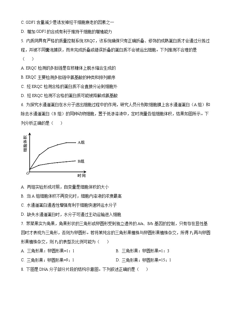 湖北省2023-2024学年高一下学期4月期中生物试题（原卷版）第2页
