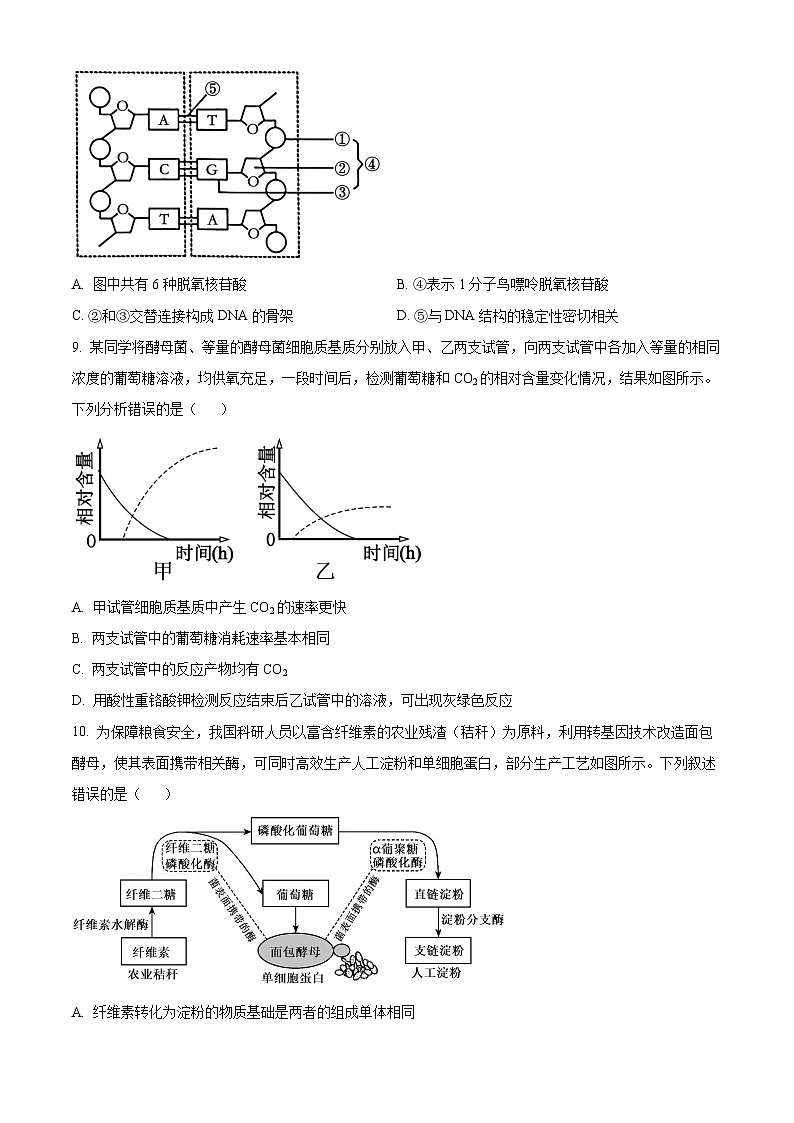 湖北省2023-2024学年高一下学期4月期中生物试题（原卷版）第3页
