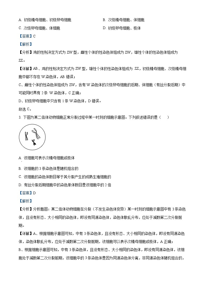 湖北省2023-2024学年高一下学期4月期中生物试题（解析版）第2页