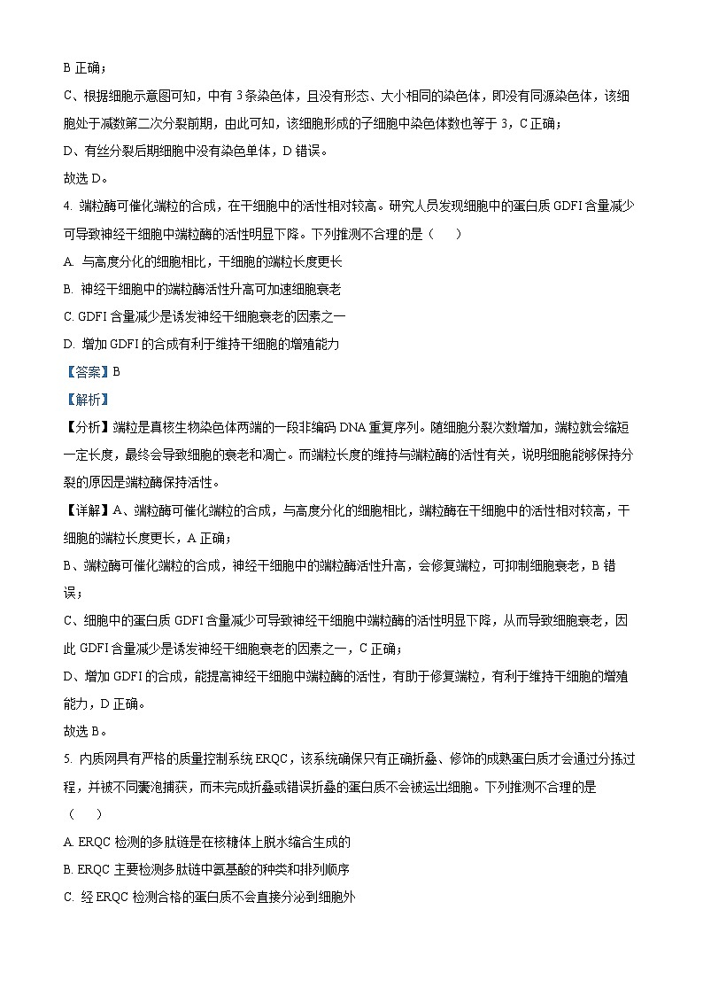 湖北省2023-2024学年高一下学期4月期中生物试题（解析版）第3页
