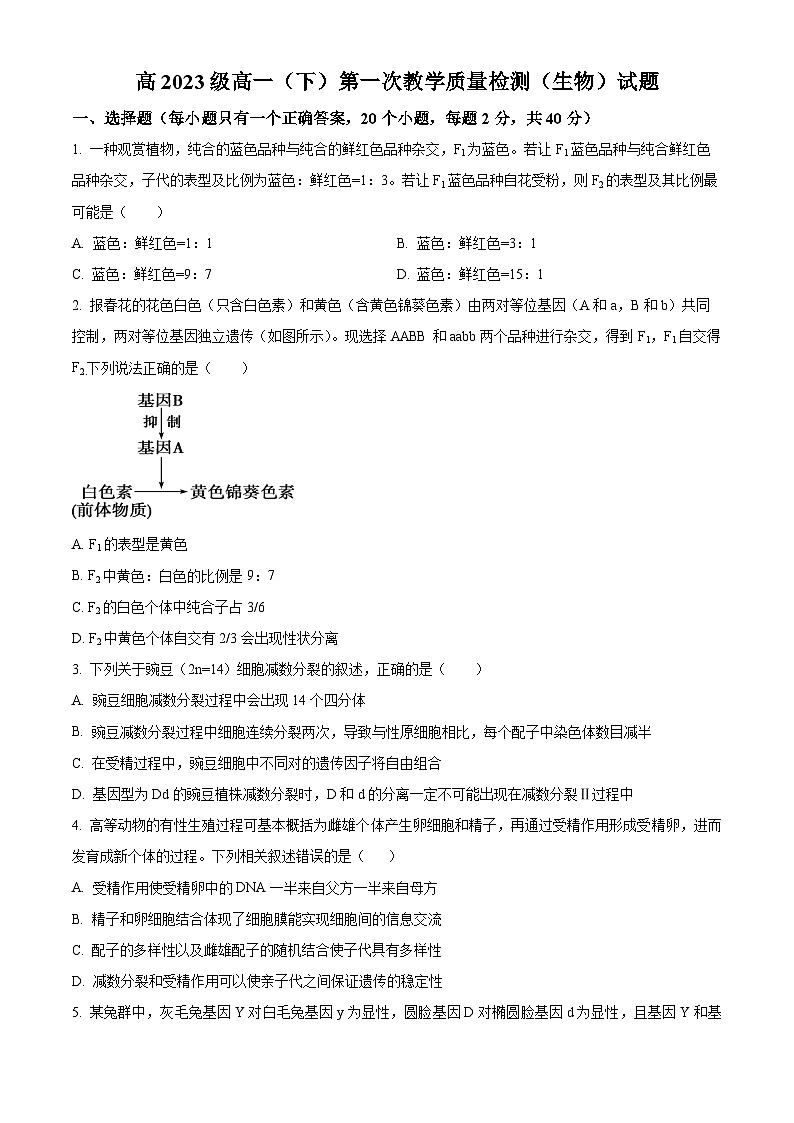 四川省眉山市仁寿县2023-2024学年高一下学期4月期中生物试题（原卷版+解析版）01