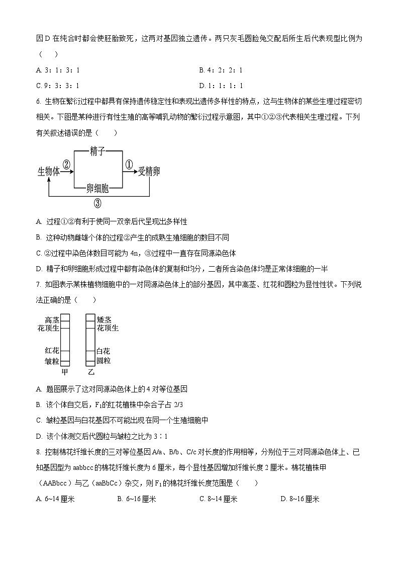 四川省眉山市仁寿县2023-2024学年高一下学期4月期中生物试题（原卷版+解析版）02
