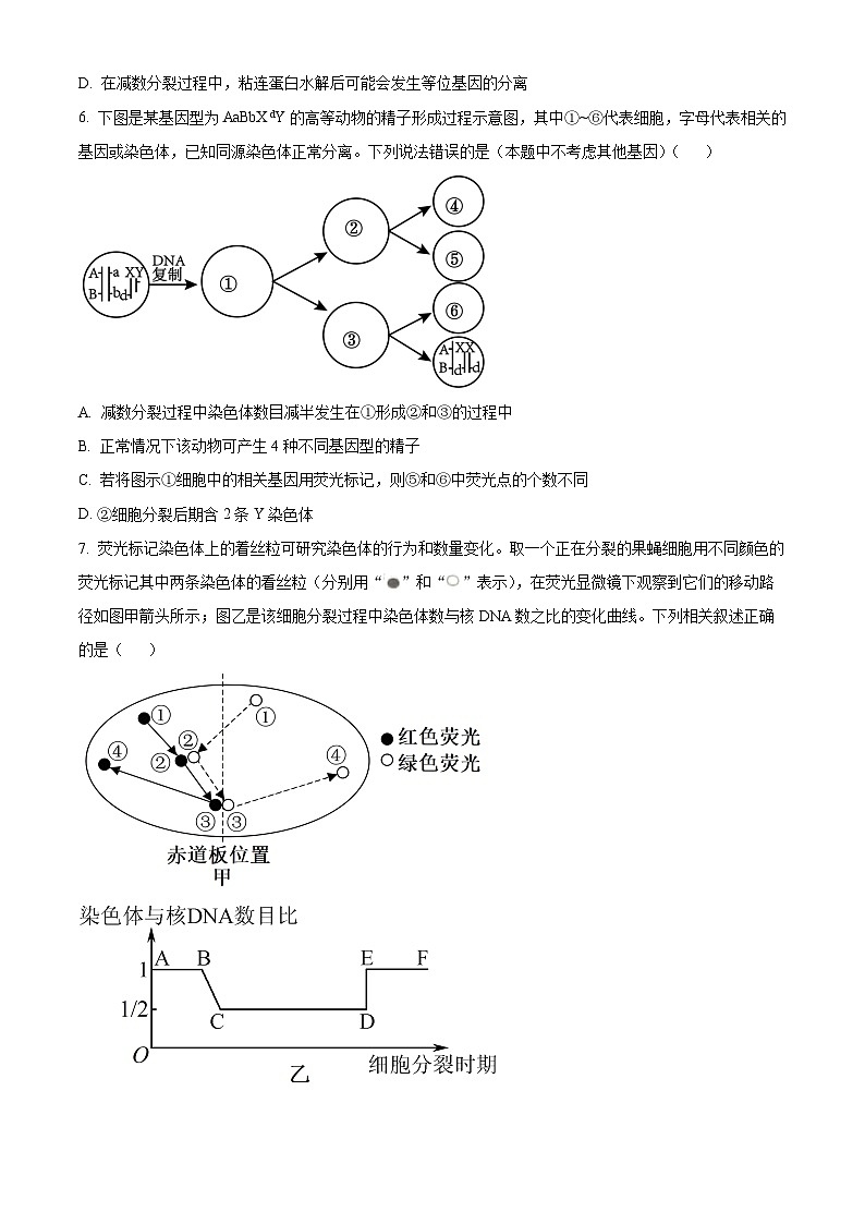 四川省达州市万源市万源中学2023-2024学年高一下学期4月期中生物试题（原卷版+解析版）03