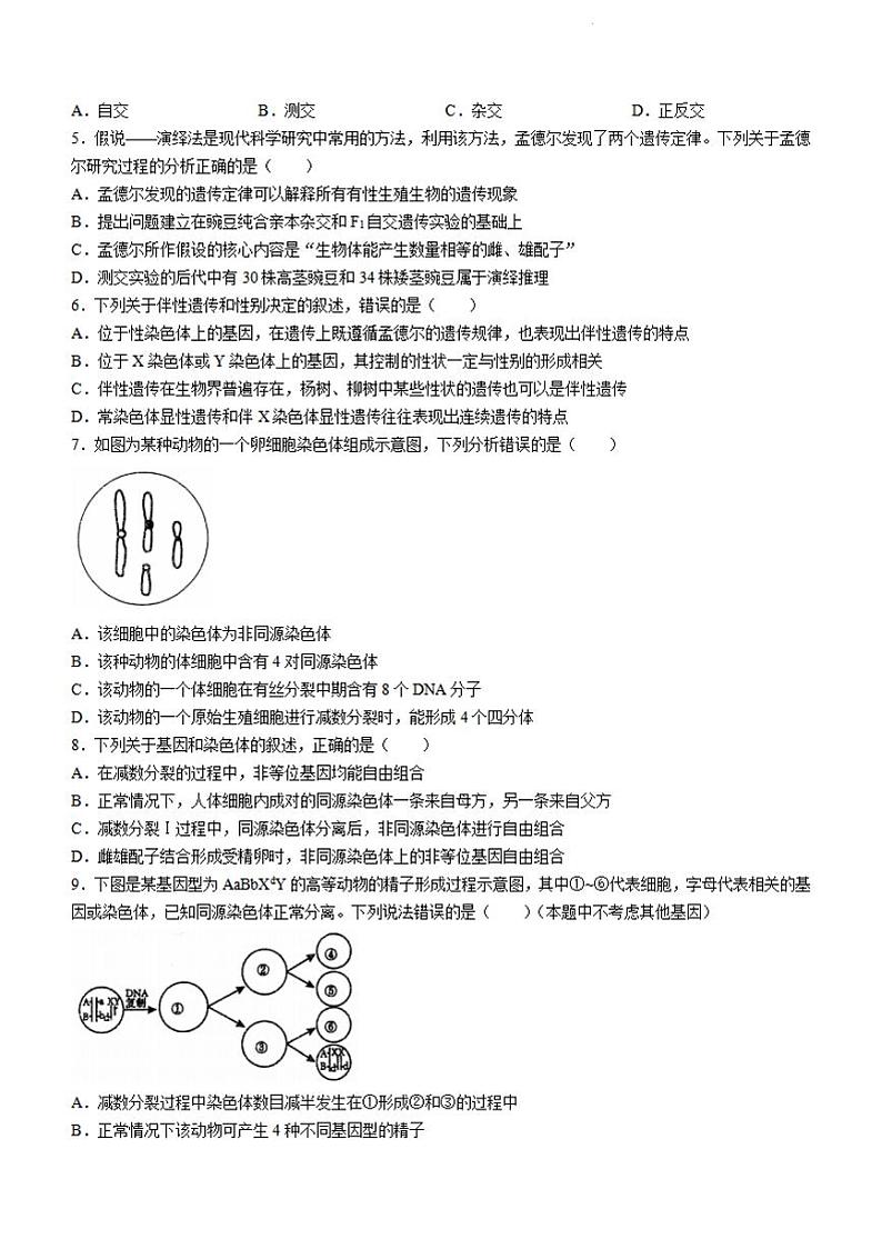 江苏省泰州中学2023-2024学年高一下学期4月期中考试生物试卷02