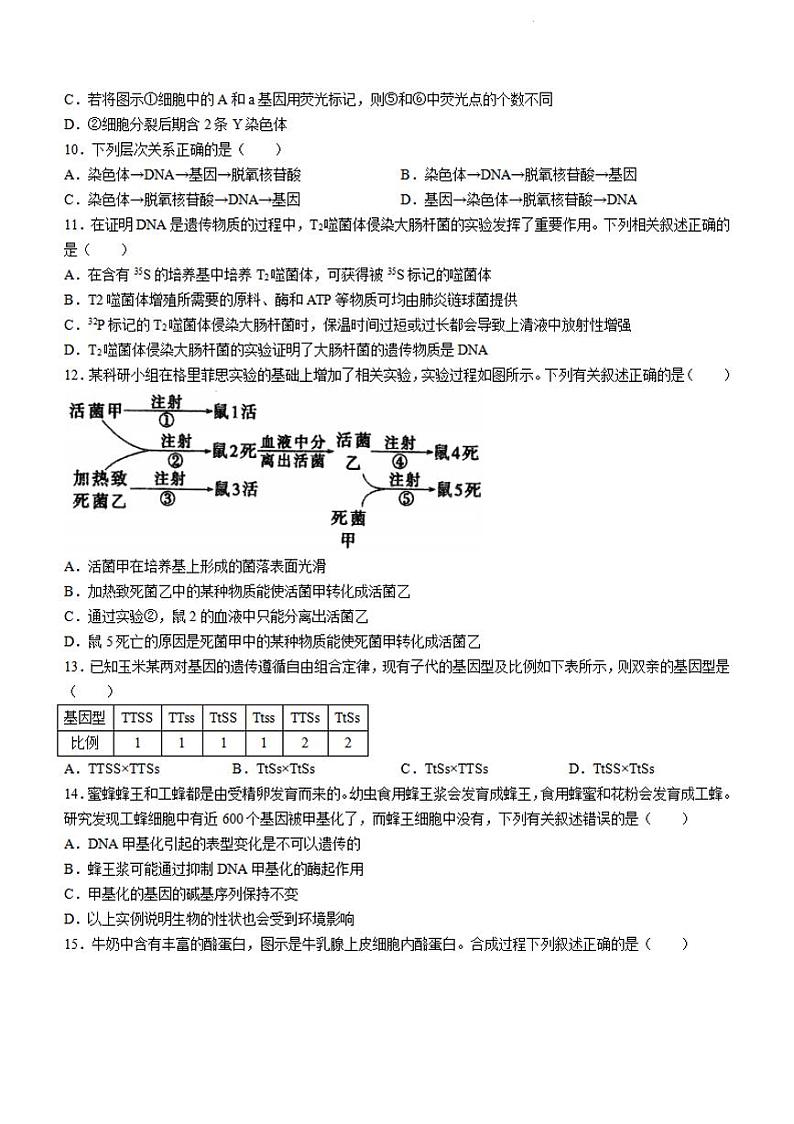 江苏省泰州中学2023-2024学年高一下学期4月期中考试生物试卷03