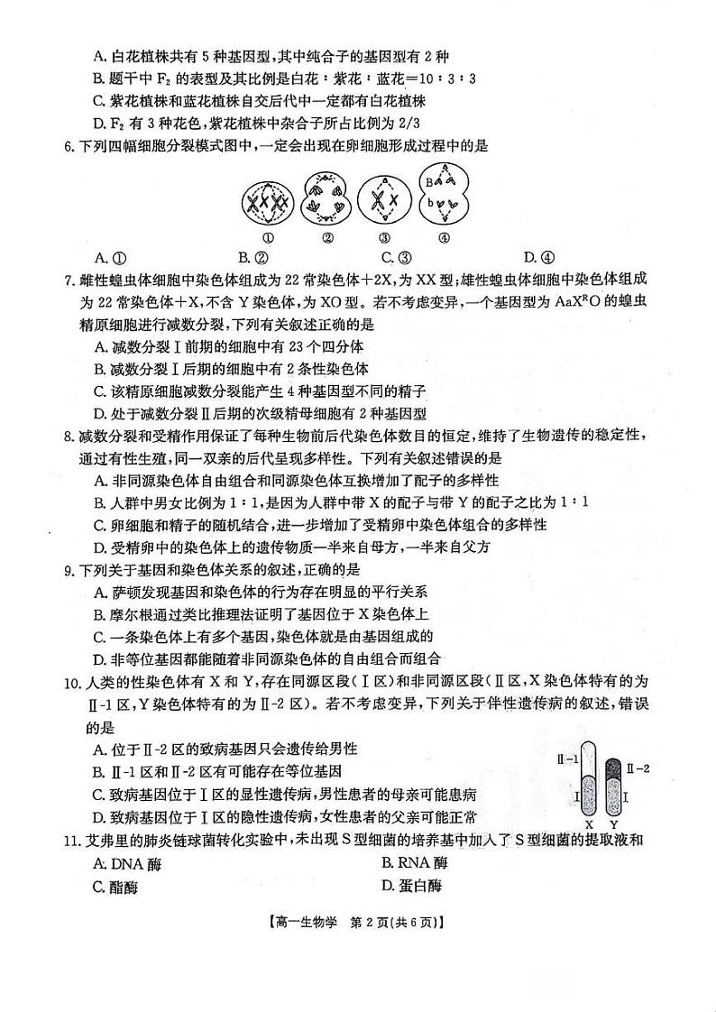辽宁省2023-2024学年高一下学期4月月考(金太阳419A)生物试卷02