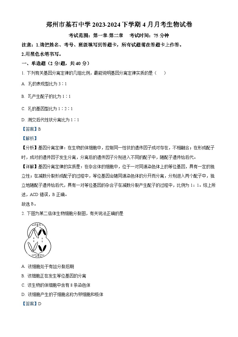 河南省郑州市中原区郑州市基石中学2023-2024学年高一下学期4月月考生物试题（原卷版+解析版）01