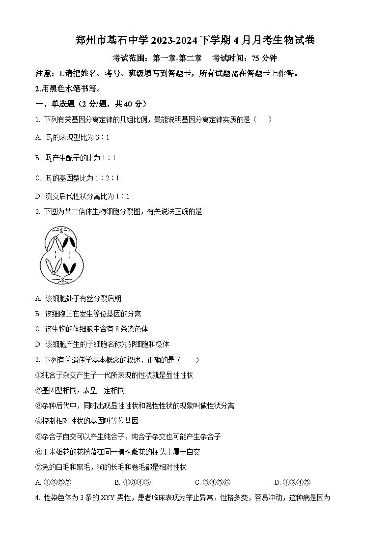 河南省郑州市中原区郑州市基石中学2023-2024学年高一下学期4月月考生物试题（原卷版+解析版）01