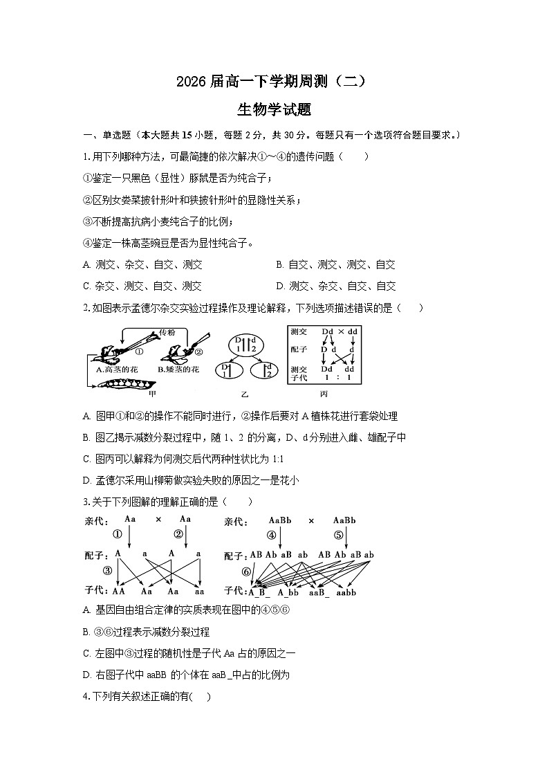 河南省信阳高级中学2023-2024学年高一下学期4月月考生物试卷（Word版附答案）01