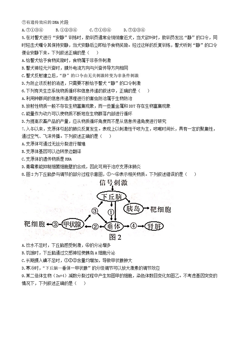 广西贵百河联考2024届高三下学期4月新高考二模生物试题（Word版附解析）02