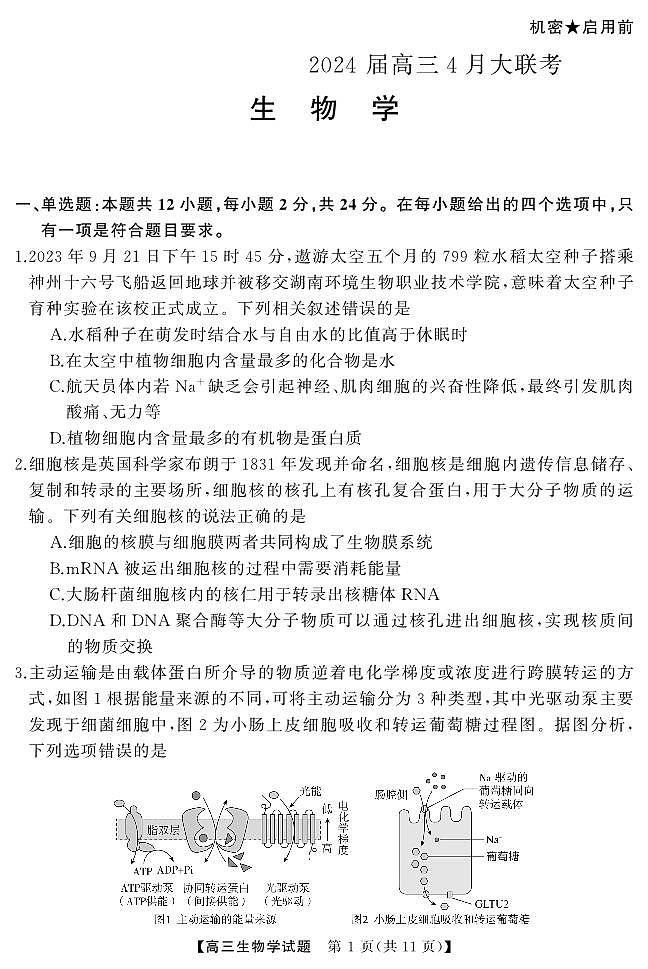 湖南省多校2023-2024学年高三下学期4月大联考生物试卷（PDF版附解析）02