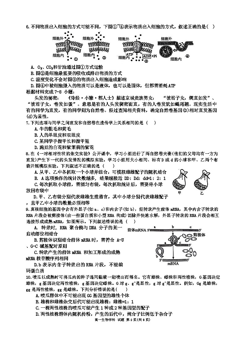 浙江省衢温“51”联盟2023-2024学年高一下学期期中联考生物试卷（Word版附答案）第2页