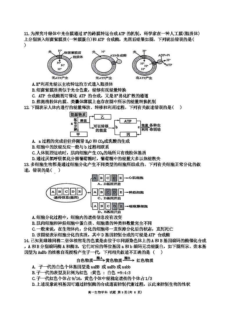 浙江省衢温“51”联盟2023-2024学年高一下学期期中联考生物试卷（Word版附答案）第3页
