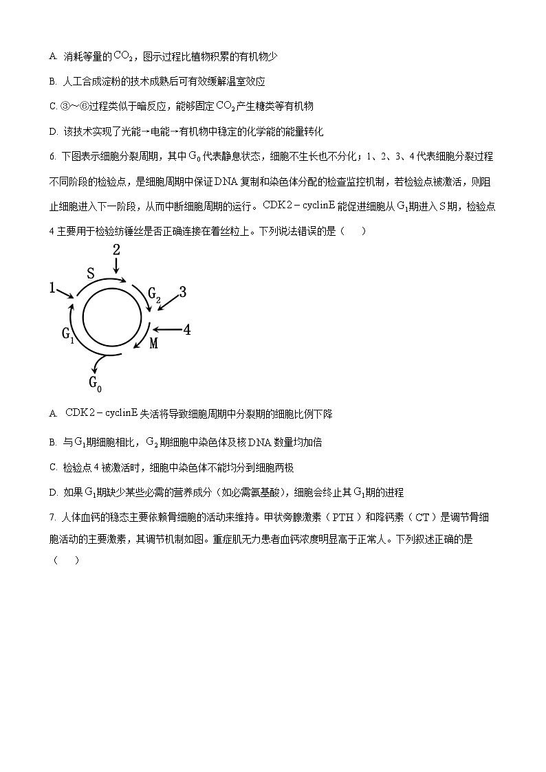 重庆市2024届高三下学期第二次联考诊断检测生物试题 Word版无答案第3页