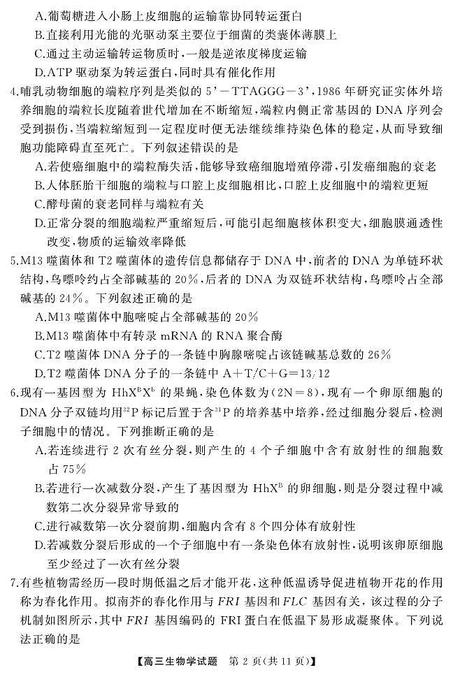 湖南省天壹名校联盟2024届高三下学期4月大联考生物试题03