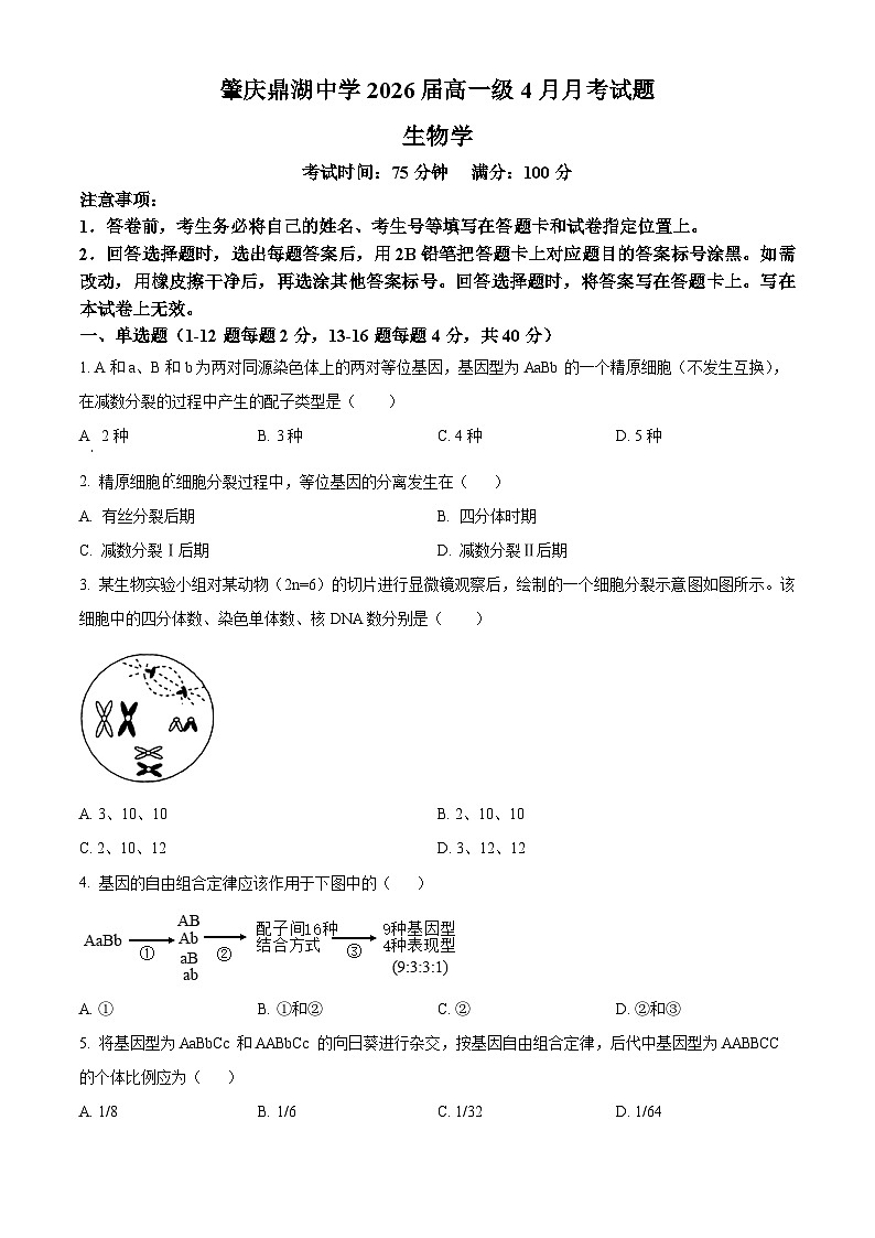 广东省肇庆市鼎湖区鼎湖中学2023-2024学年下学期高一4月生物考试试题（原卷版）第1页