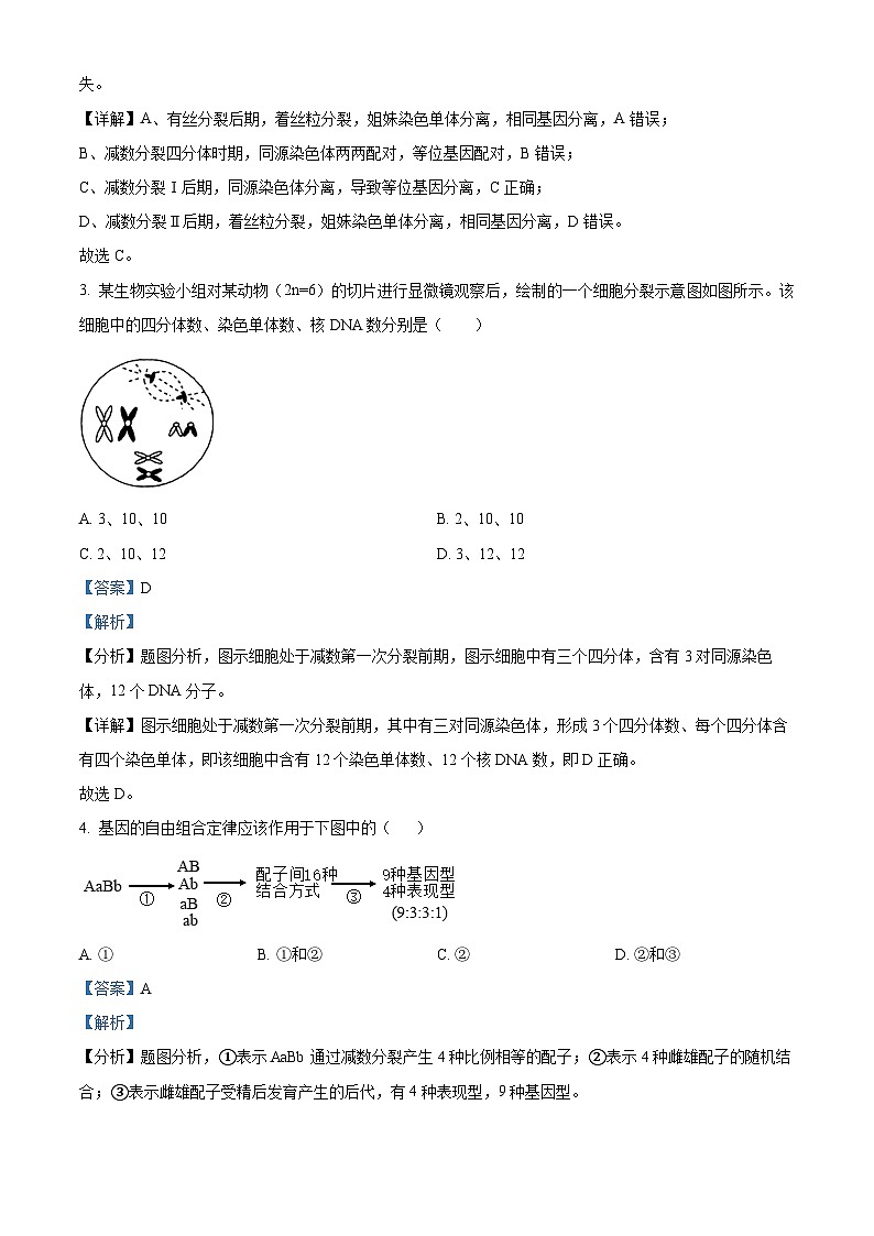 广东省肇庆市鼎湖区鼎湖中学2023-2024学年下学期高一4月生物考试试题（解析版）第2页