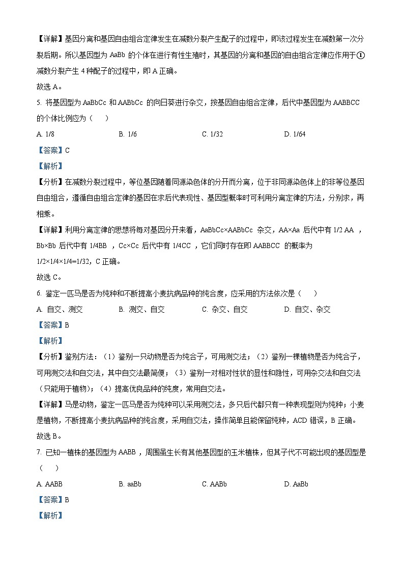 广东省肇庆市鼎湖区鼎湖中学2023-2024学年下学期高一4月生物考试试题（解析版）第3页