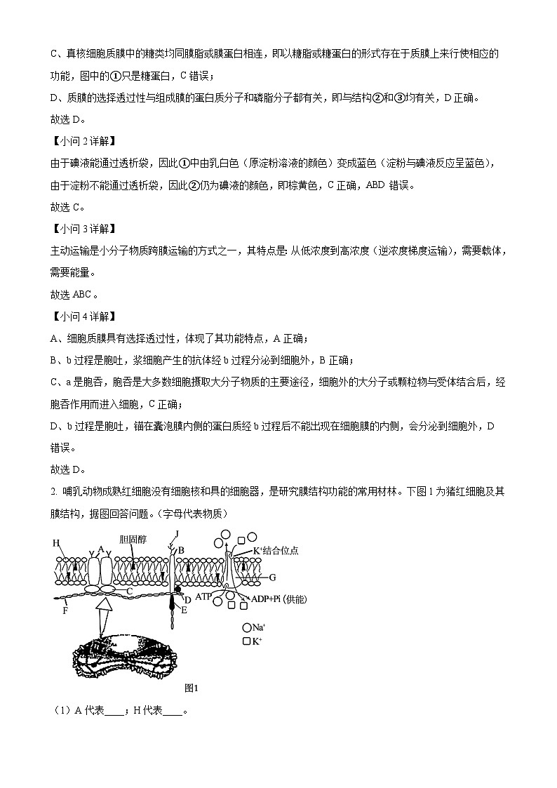 上海市闵行区第三中学2023-2024学年高一下学期4月期中生物试题（解析版）第3页