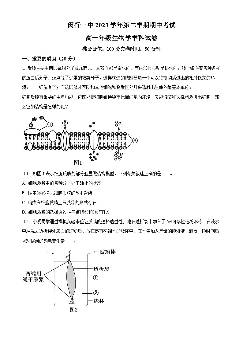 上海市闵行区第三中学2023-2024学年高一下学期4月期中生物试题（原卷版）第1页