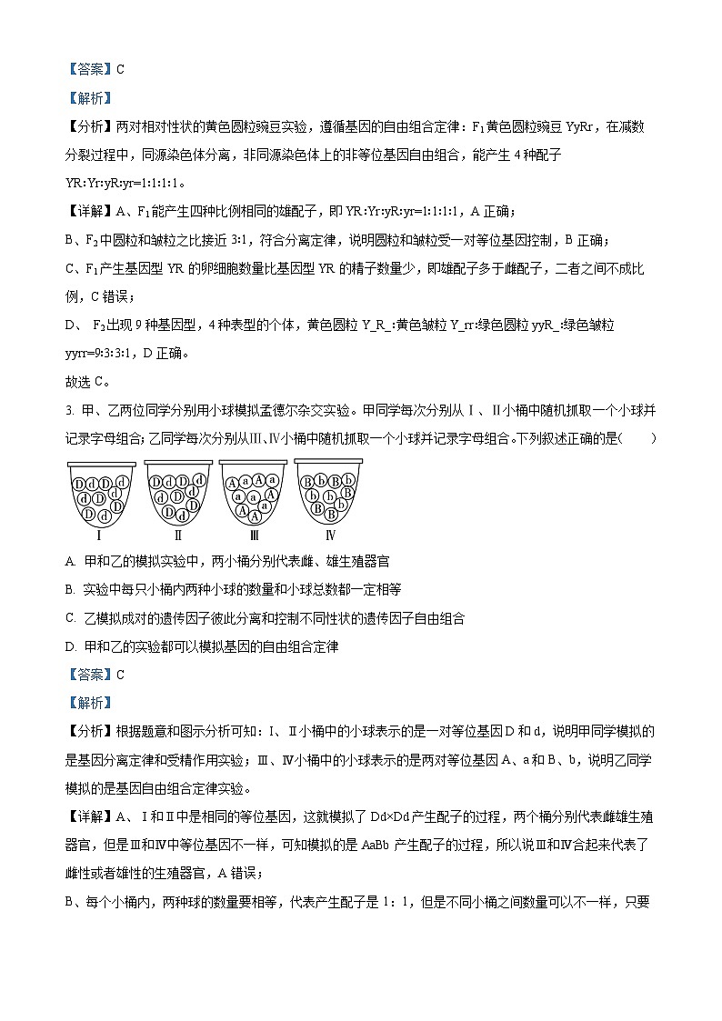 云南省红河哈尼族彝族自治州蒙自市第一中学2023-2024学年高一下学期4月月考生物试题（解析版）第2页