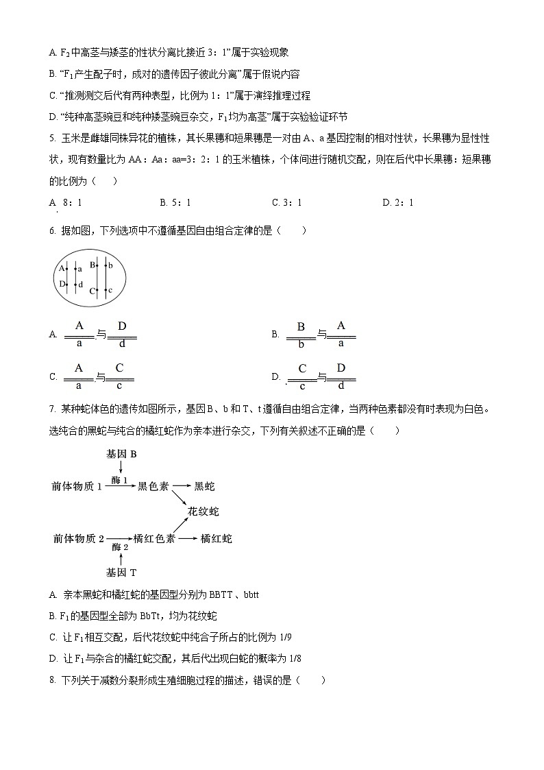 云南省红河哈尼族彝族自治州蒙自市第一中学2023-2024学年高一下学期4月月考生物试题（原卷版）第2页