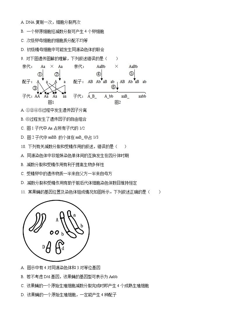 云南省红河哈尼族彝族自治州蒙自市第一中学2023-2024学年高一下学期4月月考生物试题（原卷版）第3页