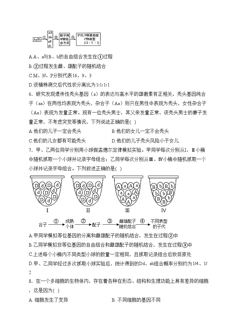 广东省部分学校2023-2024学年高一下学期第一次月考生物试卷(含答案)02
