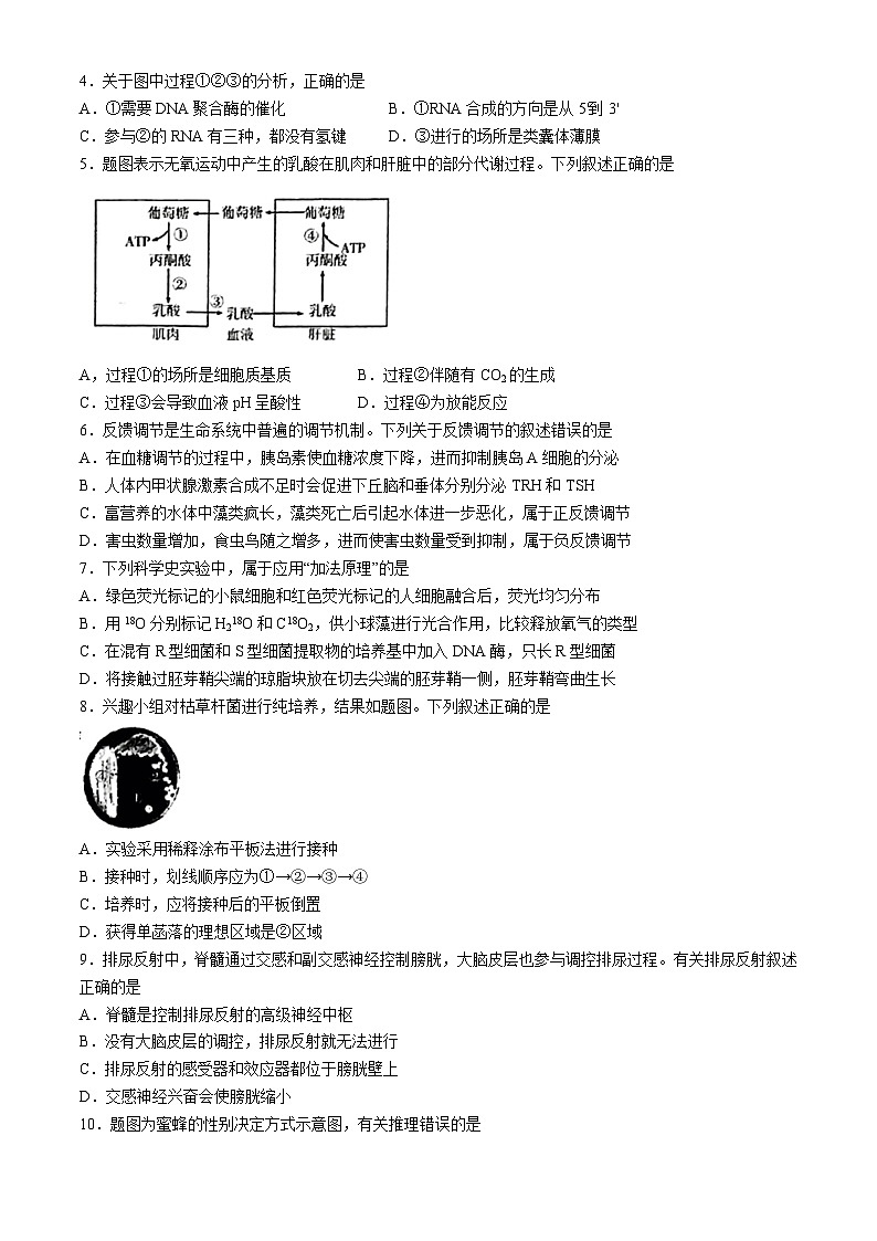 2024届广东省高三二模考试生物试题02