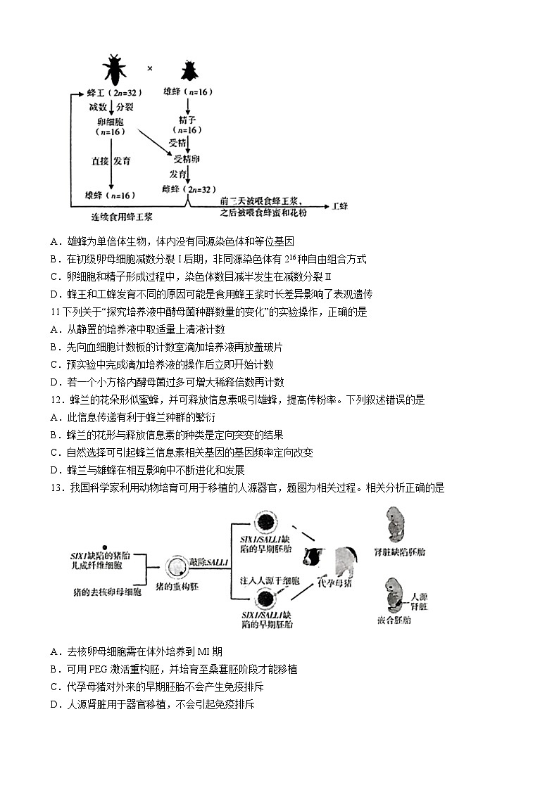 2024届广东省高三二模考试生物试题03