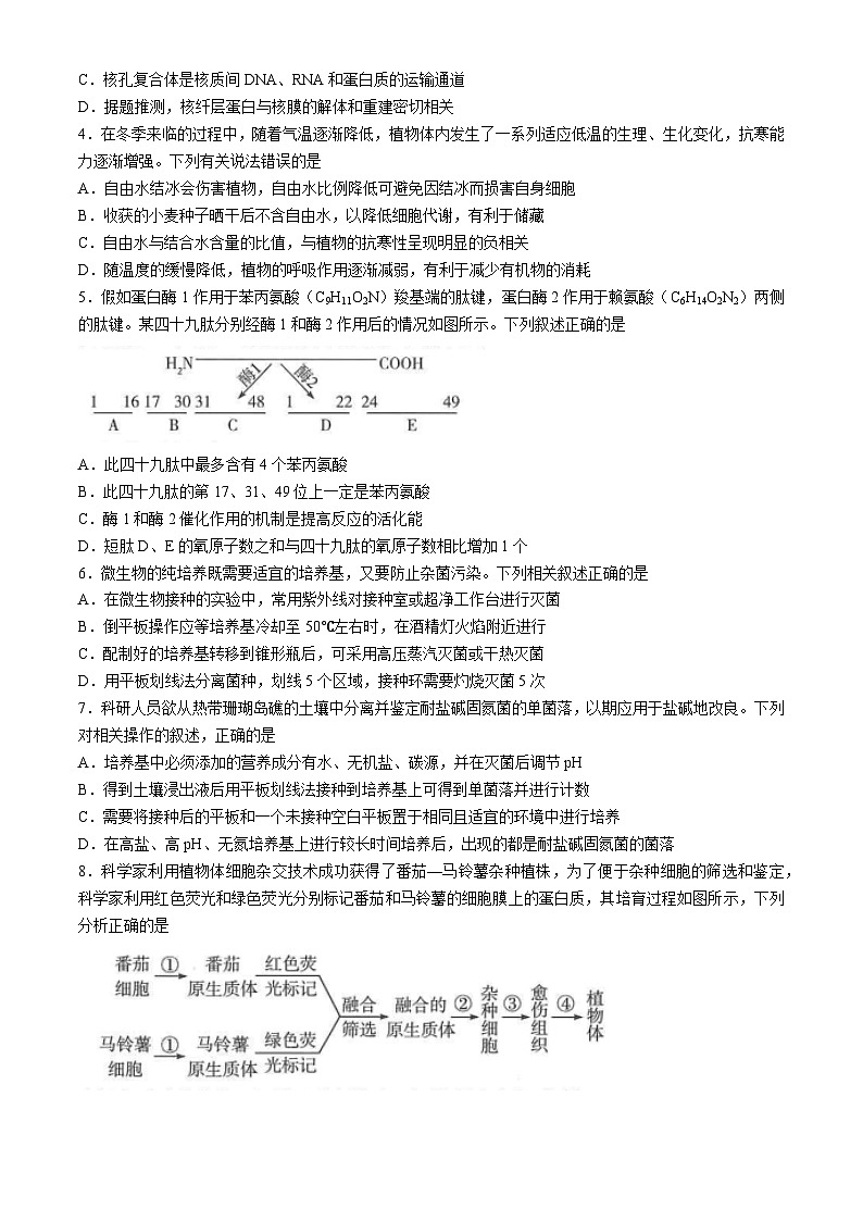 河南省南阳市六校联考2023-2024学年高二下学期4月期中生物试题第2页