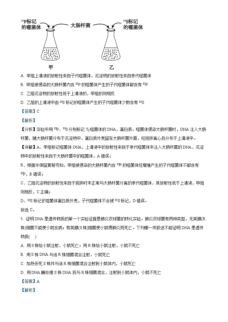 海南省海口市海南师范大学附属中学2023-2024学年高一下学期四月月考生物试题A卷（解析版）第3页