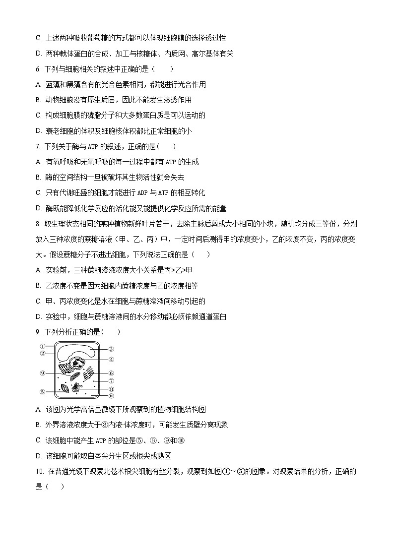 湖南省常德市津市市第一中学2023-2024学年高一下学期4月份生物月考试题（原卷版+解析版）02