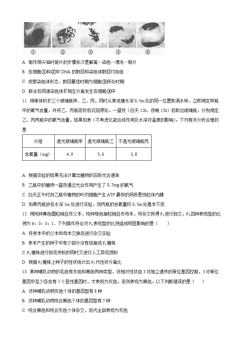 湖南省常德市津市市第一中学2023-2024学年高一下学期4月份生物月考试题（原卷版+解析版）03
