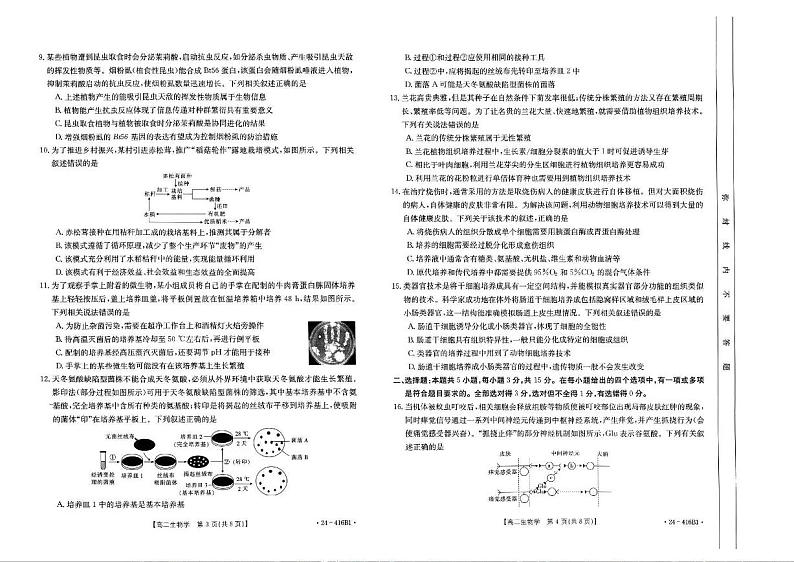 生物-吉林省部分名校2023-2024学年高二下学期期中联考(金太阳416B)生物试卷及答案第2页