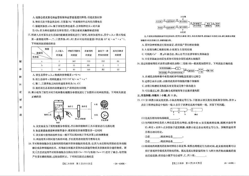 生物-吉林省部分名校2023-2024学年高二下学期期中联考(金太阳416B)生物试卷及答案第3页