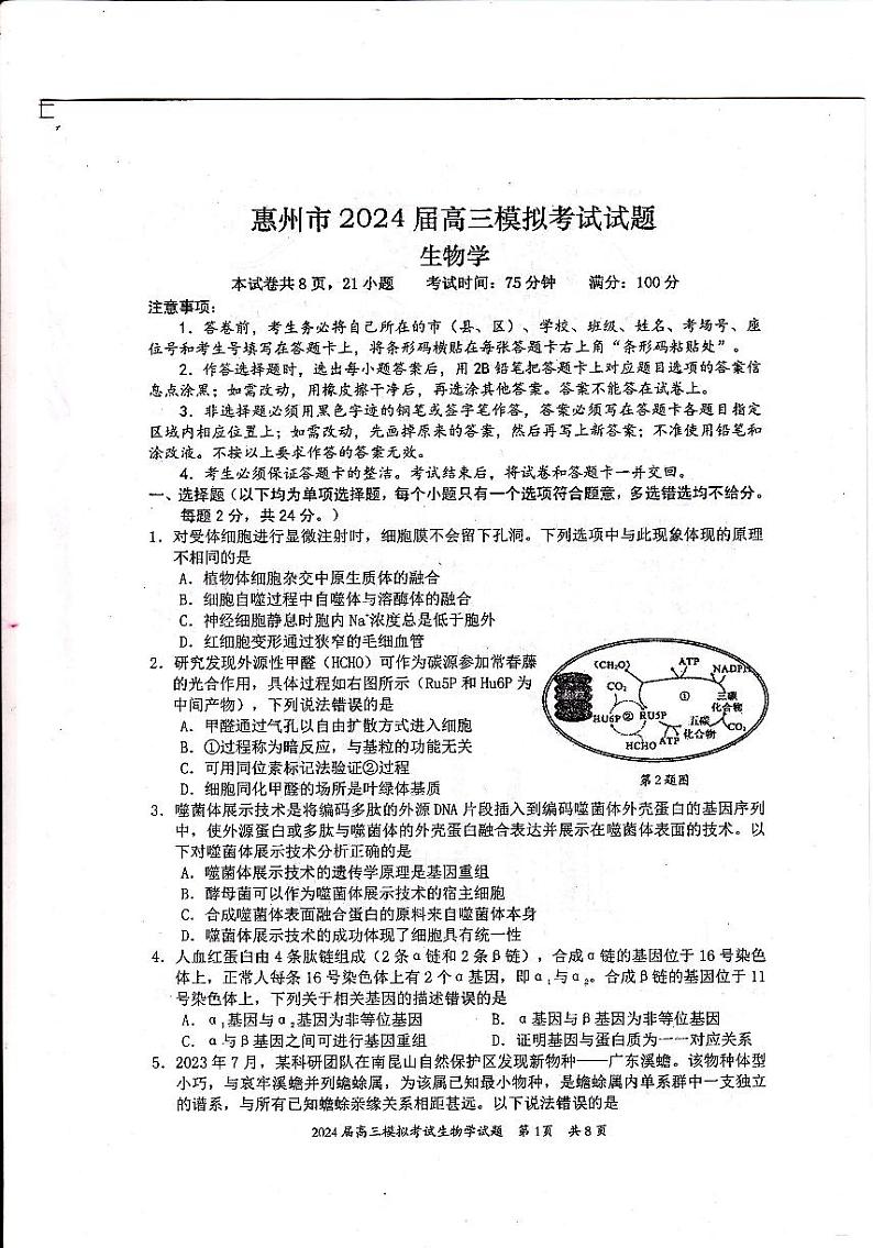 2024年惠州一模生物（试卷+答案+答题卡）01
