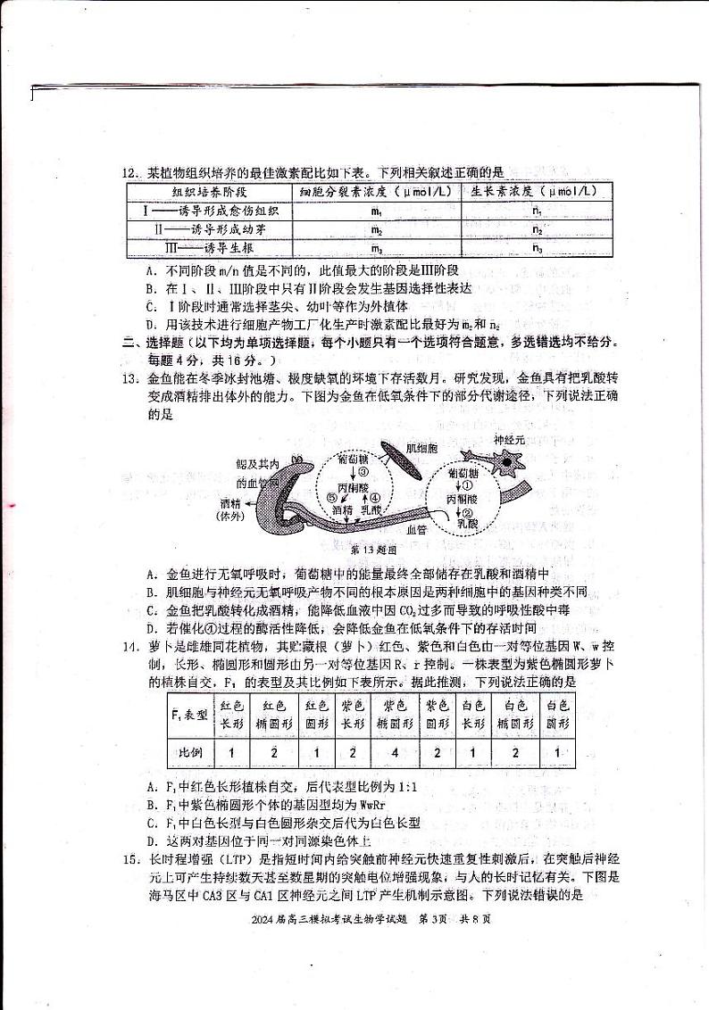 2024年惠州一模生物（试卷+答案+答题卡）03