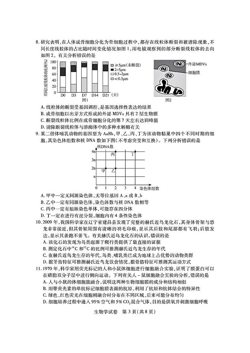 湖北省第九届2024届高三下学期4月调研模拟考试生物试题第3页