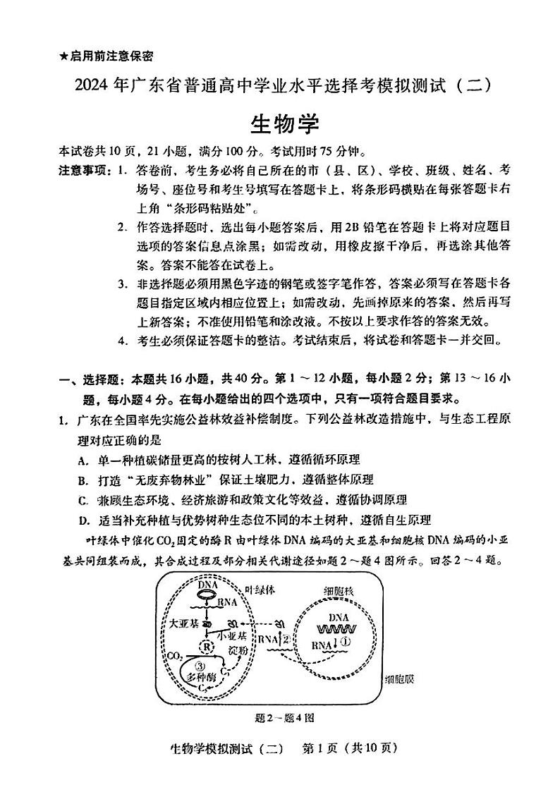 2024年广东省高三二模生物试卷和参考答案01