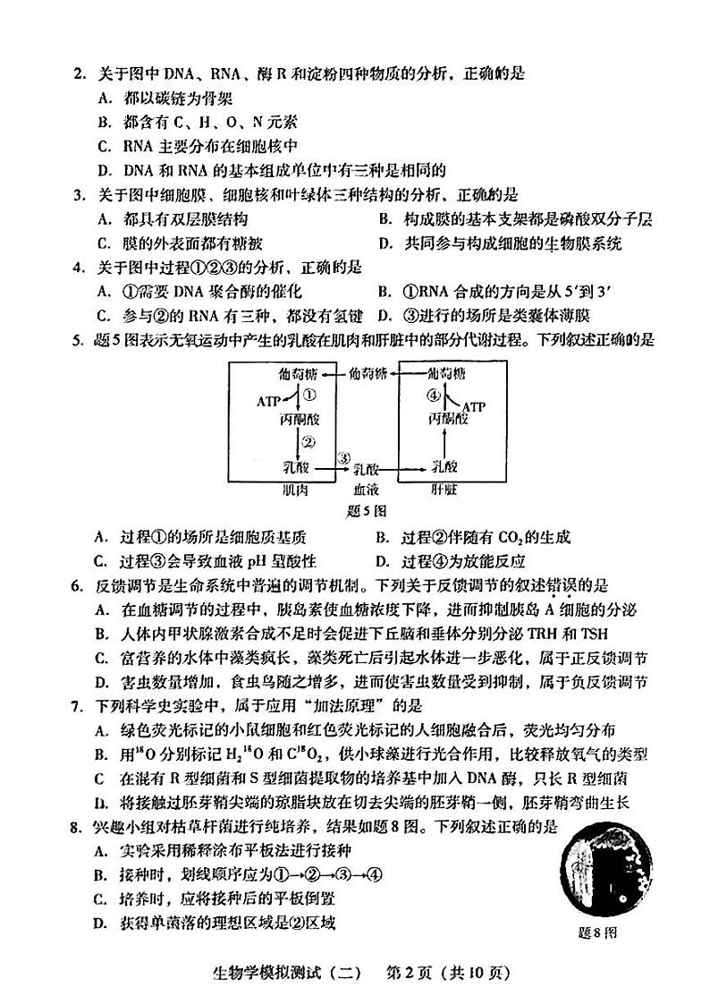2024年广东省高三二模生物试卷和参考答案02