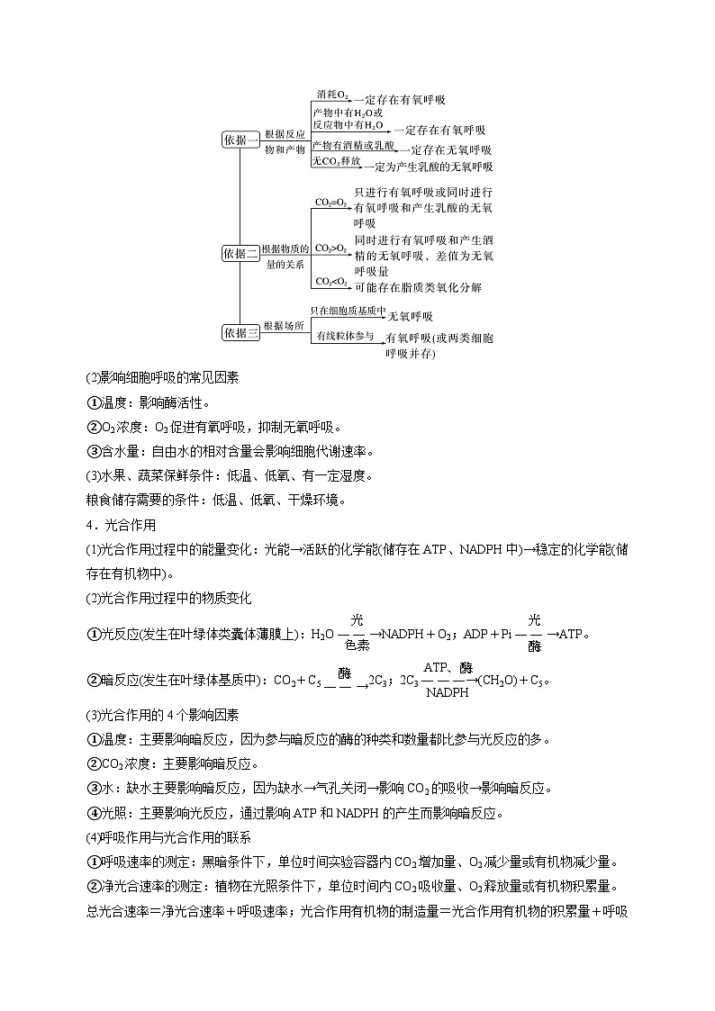 新教材2024届高考生物二轮复习知识回顾二细胞代谢学案第2页
