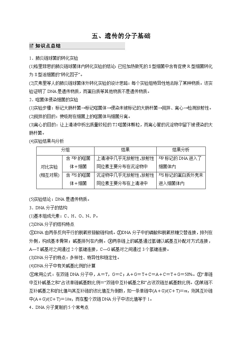 新教材2024届高考生物二轮复习知识回顾五遗传的分子基础学案第1页